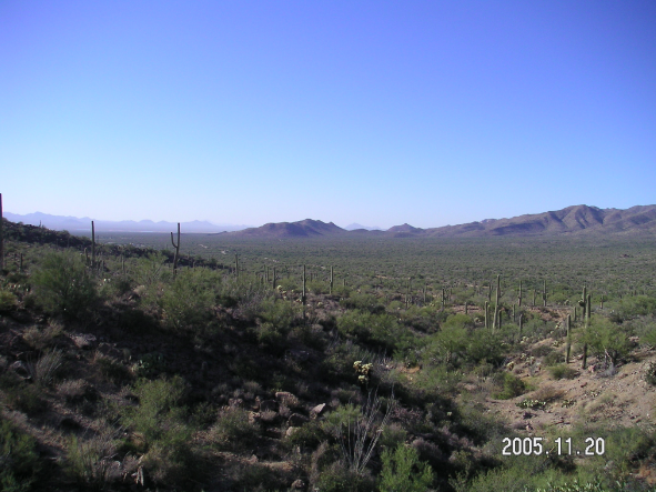 a0146493_13173932.png