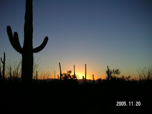 a0146493_13331383.png
