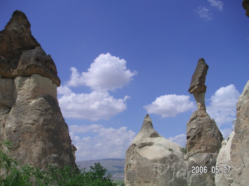 a0146493_14124815.png