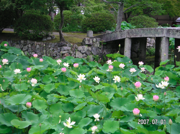 a0146493_14262254.png