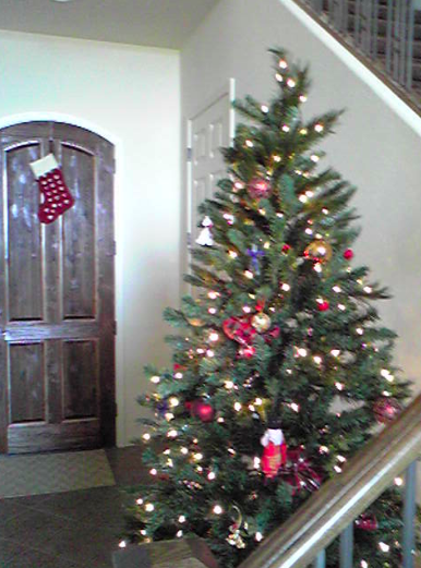 a0146493_151826.png