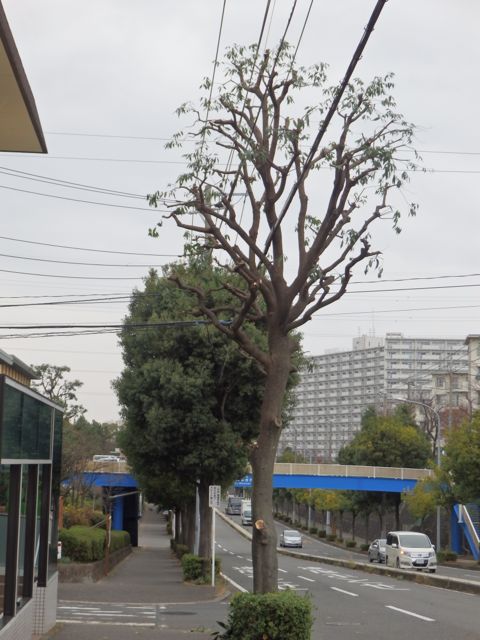 f0130894_23455054.jpg