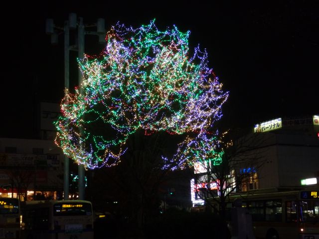 f0130894_23503362.jpg