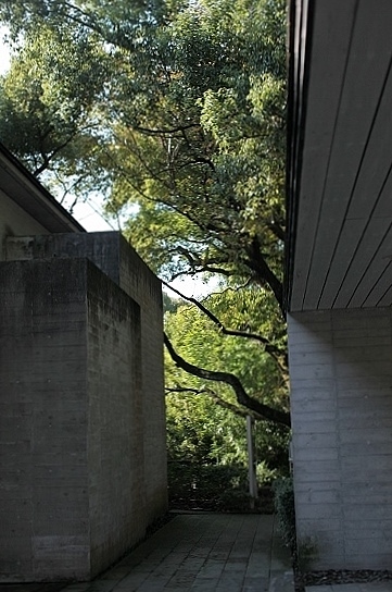 e0209997_04414.jpg