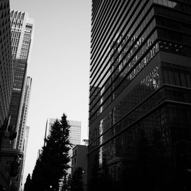 c0313898_1755259.jpg
