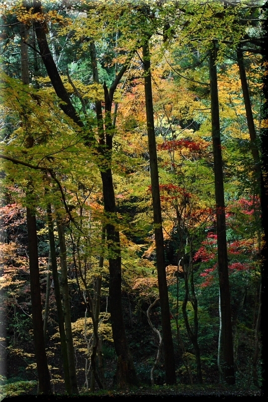 f0083400_23560693.jpg