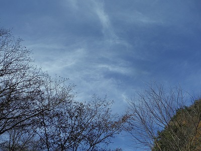 b0326303_08050750.jpg