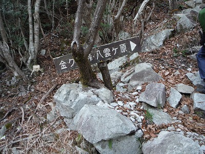 b0326303_08161255.jpg