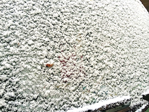 b0061004_4144841.jpg