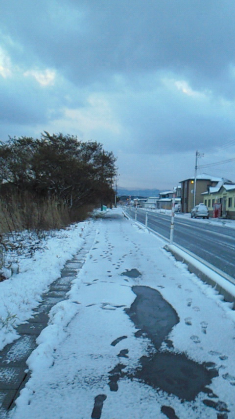 d0149105_7395578.jpg