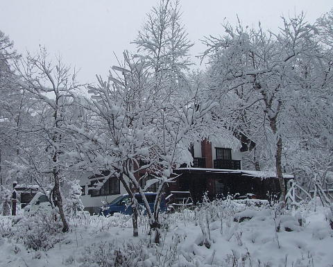 f0161708_23312968.jpg