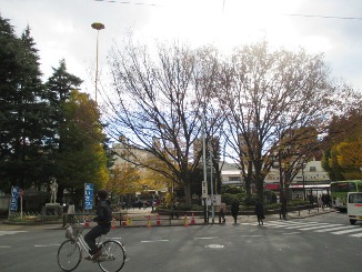 d0091909_13563323.jpg