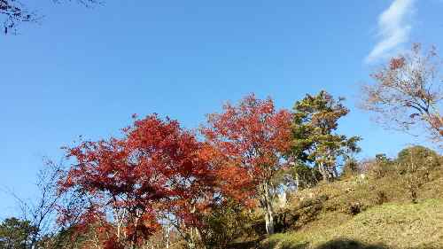 e0047322_2129378.jpg