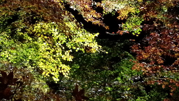 e0047322_23424492.jpg