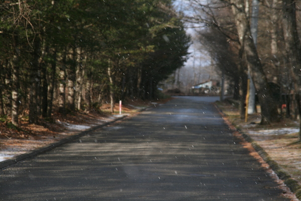 b0174425_14435734.jpg