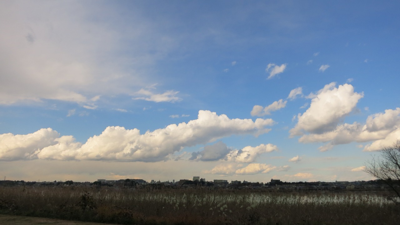 f0225627_20352391.jpg