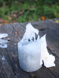 c0188928_20263772.jpg