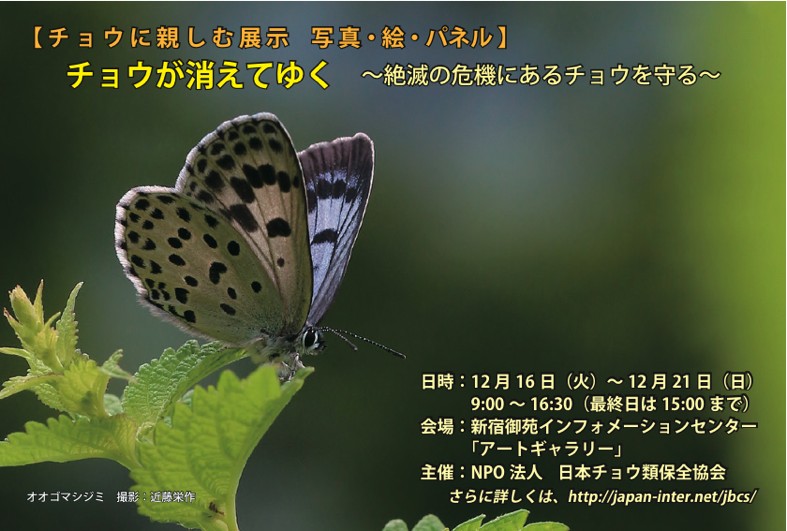 d0303129_3452291.jpg