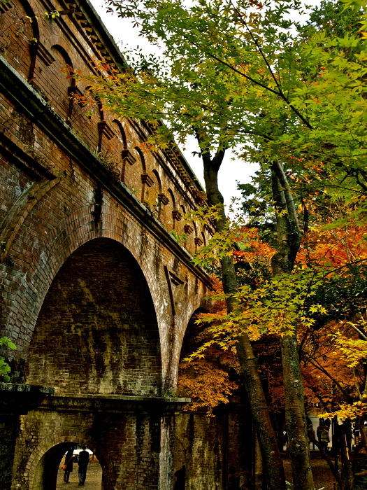 f0315034_12262511.jpg