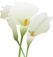 a0245136_16131298.png