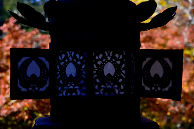 b0042837_8413526.jpg