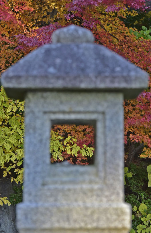 b0042837_846863.jpg