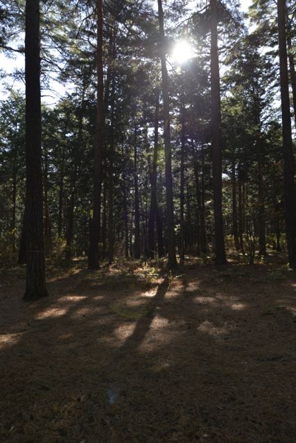 c0220337_938269.jpg