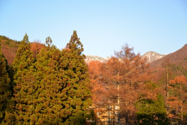 c0220337_9583967.jpg
