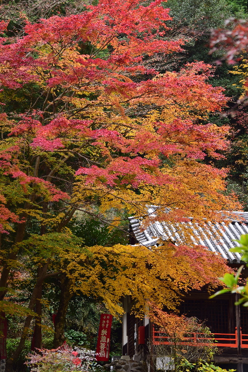 c0339546_1737754.jpg