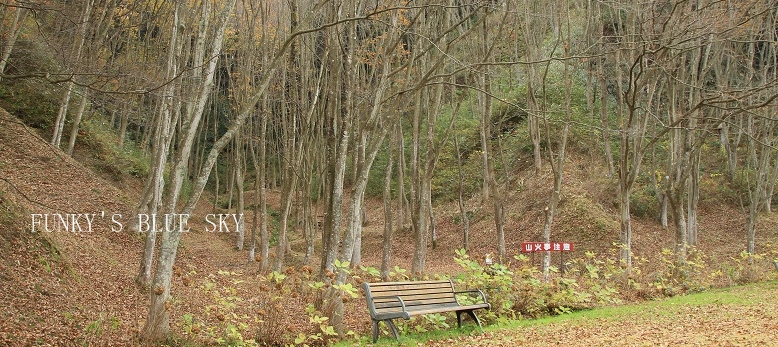c0145250_11283626.jpg