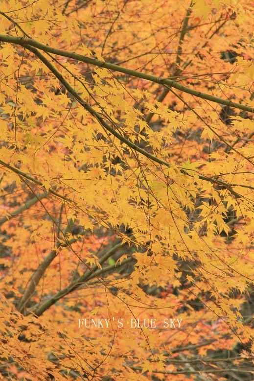 c0145250_1128653.jpg