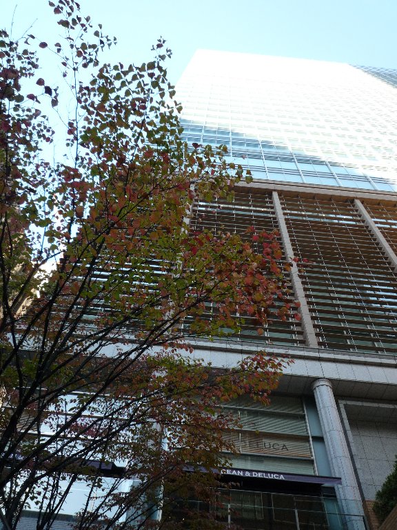 d0048750_8404419.jpg