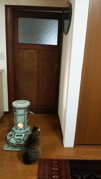 c0172261_7383996.jpg
