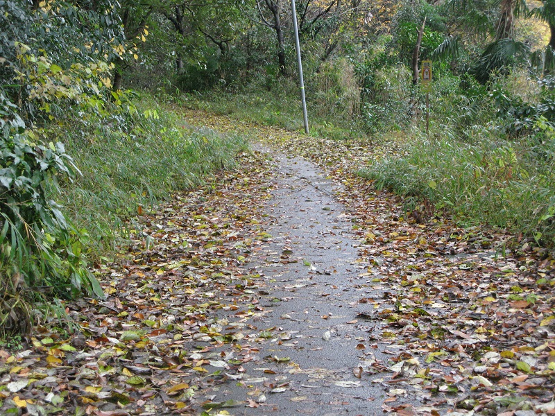 a0052762_1534497.jpg