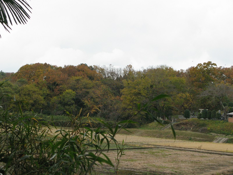a0052762_15362225.jpg