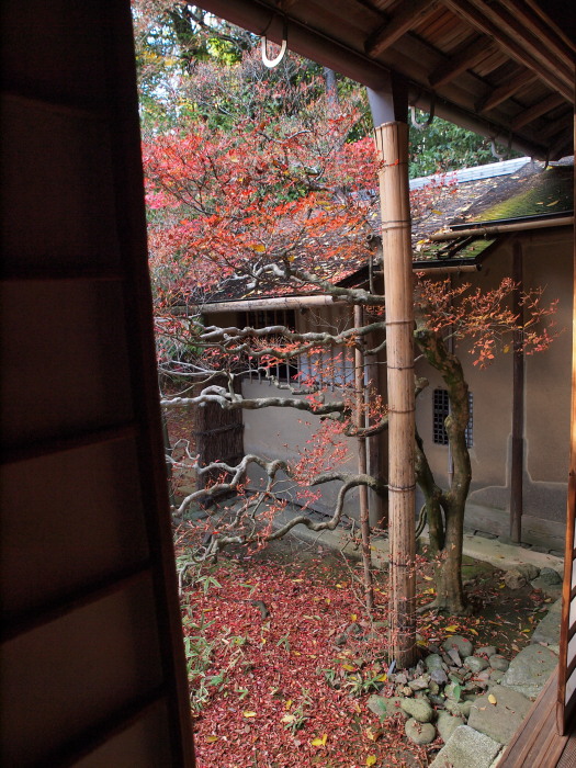 a0073065_852798.jpg