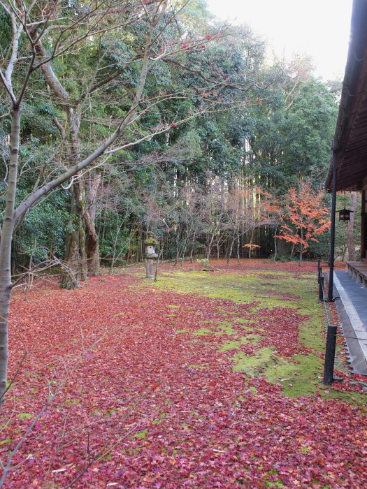a0073065_901935.jpg