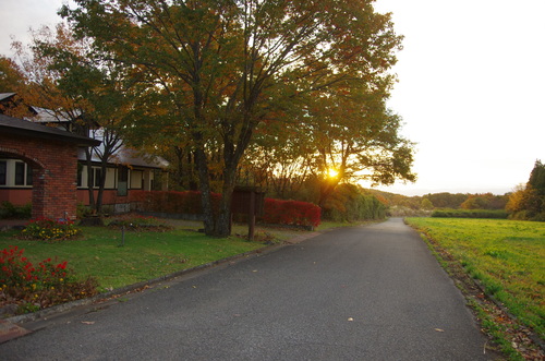 c0298565_23102210.jpg