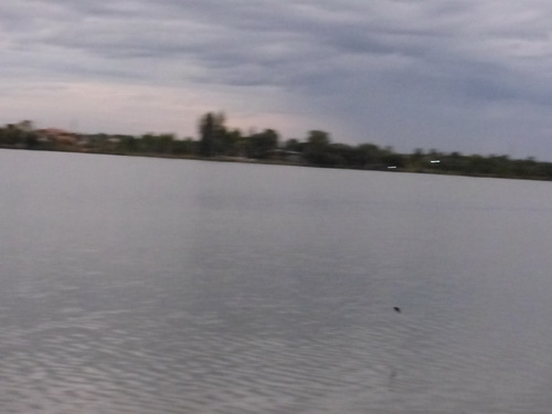 a0002177_1272927.jpg