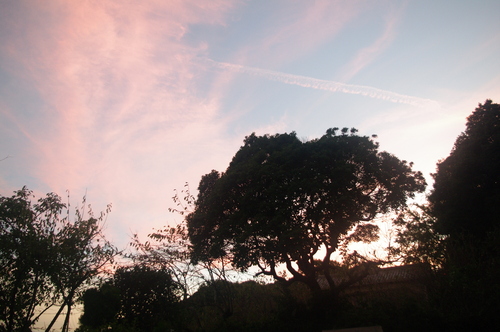 f0215179_024633.jpg