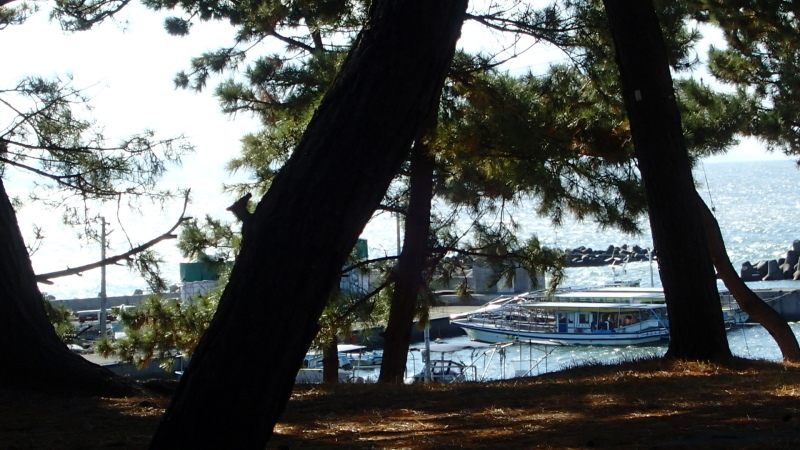 e0024081_12084414.jpg