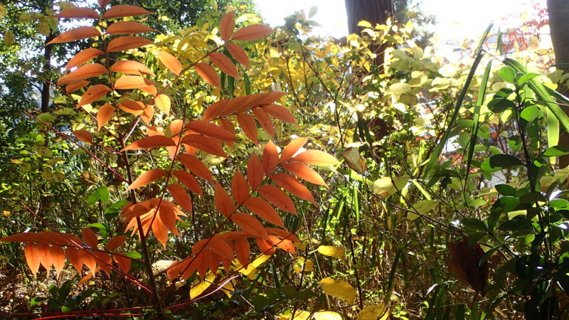 e0024081_12200838.jpg