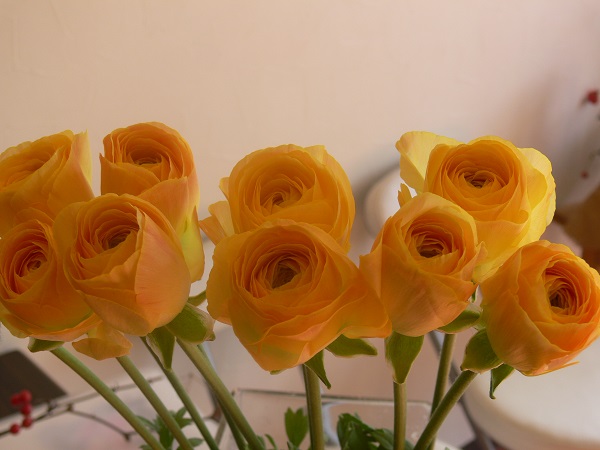 e0140986_15371067.jpg