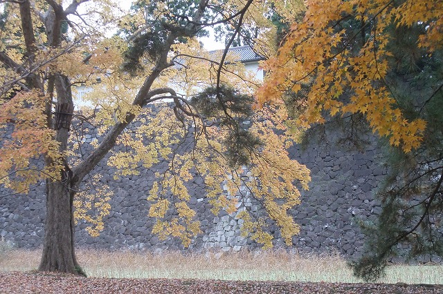 e0070891_127922.jpg