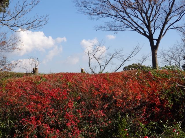 f0130894_2173434.jpg