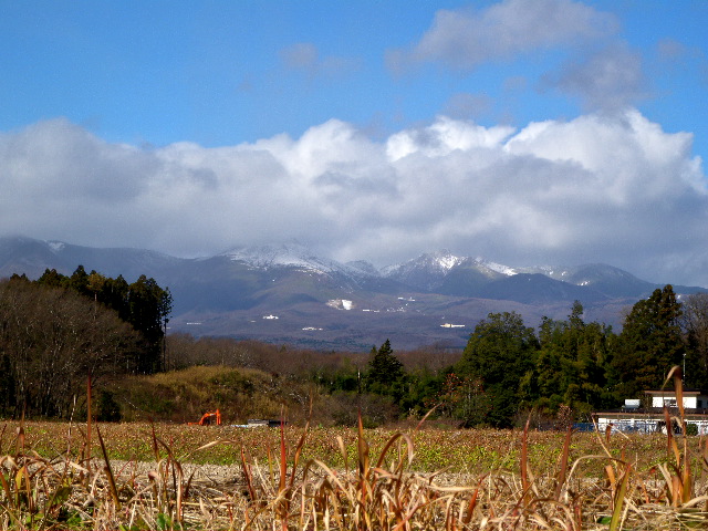 a0199297_193564.jpg