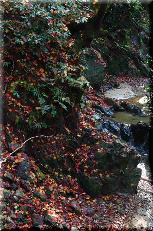 f0083400_00115395.jpg