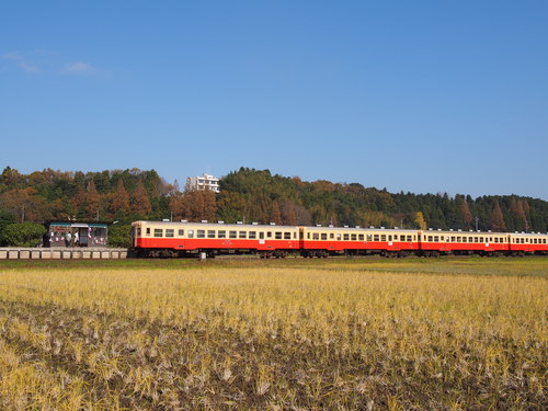 d0171803_11235945.jpg