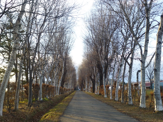 b0198109_2322155.jpg