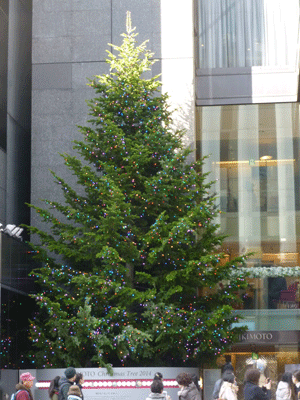 e0312121_0395353.gif